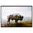 Black Floater Frame