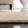 Amory Wyndham Wool Oriental Rug