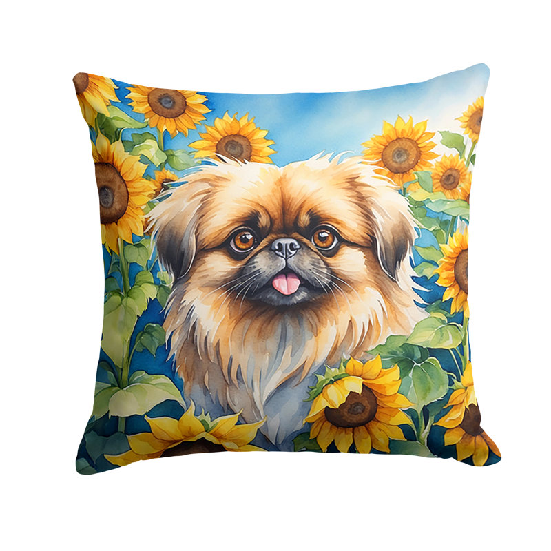 Other/No Pattern Outdoor Throw Pillow, 18" H x 18" W