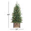 Arbre de Noël pin 4 pi Hardesty
