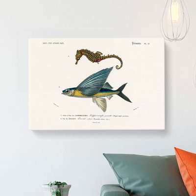 Seahorse And Flying Fish by Charles D' Orbigny - Wrapped Canvas Painting