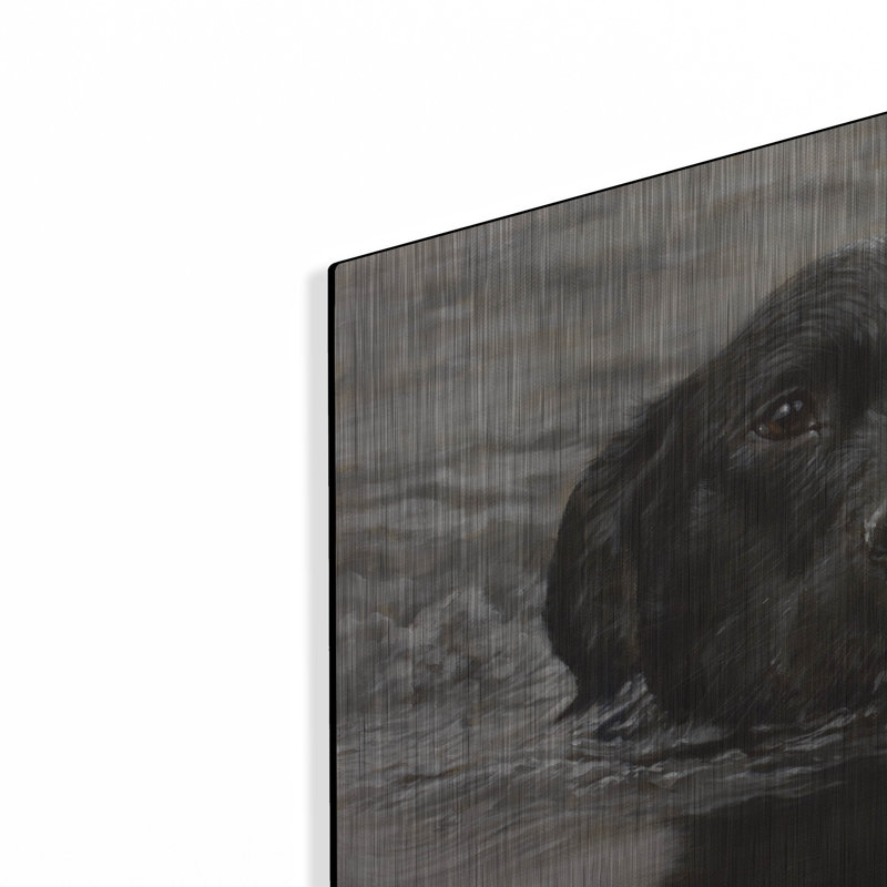 «Dog Shark» par John Silver