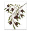 Olive Branch Neutral 4 - peinture sur toile tendue