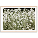 Wild Flowers Print by Carly Tabak