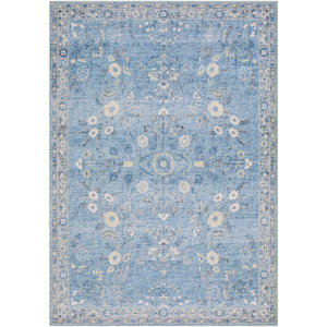 https://assets.wfcdn.com/im/47359165/resize-h300-w300%5Ecompr-r85/2518/251871482/Lympsham+Washable+Oriental+Rug.jpg