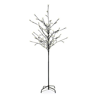 6' Tall Cherry Tree