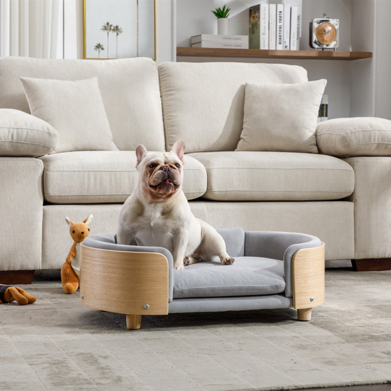 Lit pour chien surélevé de style scandinave avec pattes en bois massif et dossier en bois courbé, coussin en velours gris moyen