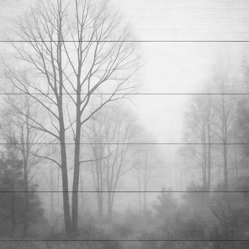 «Misty Forest», art mural sur toile à panneaux monochromes sur bois