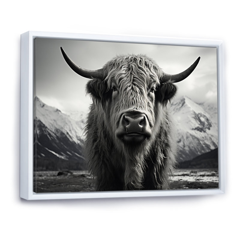 Portrait de yaks noir et blanc IV, H 16 po x l 32 po x P 1 po, Blanc