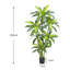 Artificial Tree Plants, Indoor Fake Brazilian Wood Tree, Decorative Fake Plants Realistic Decor for Bedroom Bathroom Home Office Entryway Living Room