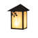 Picabo 1 - Light Flush Mounted Sconce
