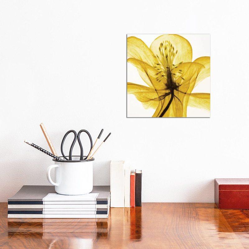 An Open Heart (Yellow) by Liz Jardine - Wrapped Canvas Painting, 30.48 cm H x 30.48 cm W