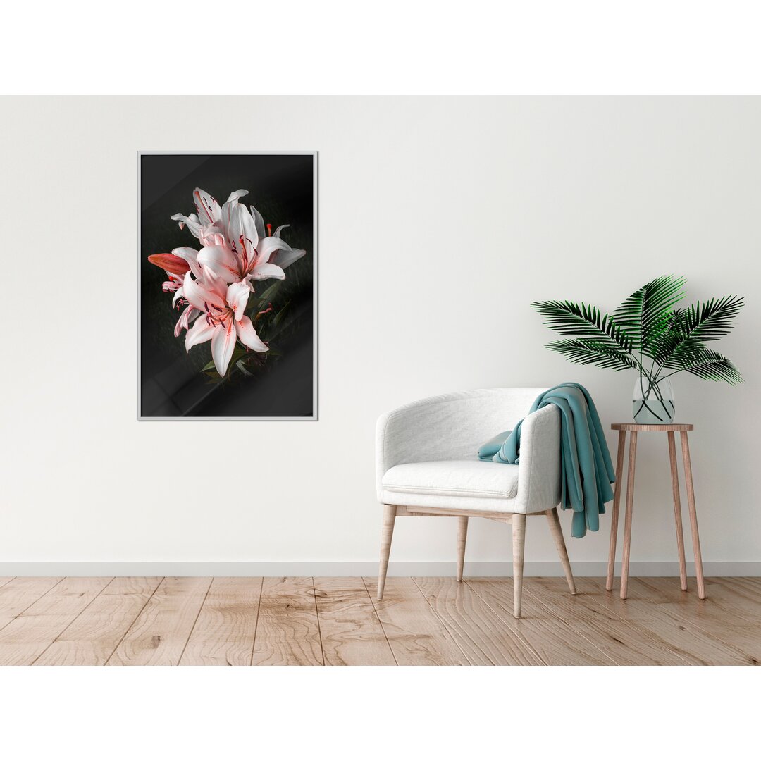 Poster Pale Pink Lilies