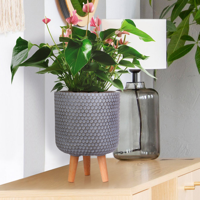Concrete Effect Cylinder Round Planter on Hardwood Legs, Round Indoor Plant Pot Stand for Indoor Plants, Indoor Flower Pot with Honeycomb Pattern