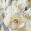 Reproduction d’art sur toile « rose garden golds »-429713550