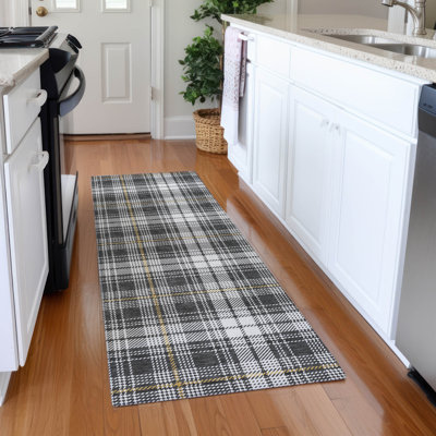  Machine Washable Indoor/Outdoor Chayden ACN993 Rug
