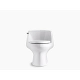 San Raphael™ 1.28 GPF Water Efficient Elongated One-Piece toilet (Seat Included)