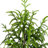 Artificial Norfolk Pine Tree-1606007050