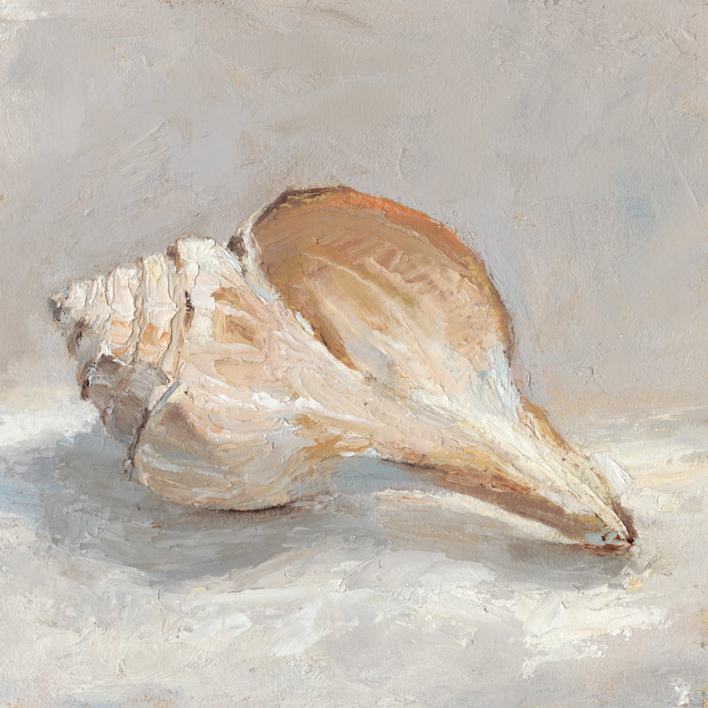 Impressionist Shell Study III by Ethan Harper - Wrapped Canvas Painting, 30cm H x 30cm W x 3.8cm D