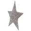 LED Silver Star Outdoor Christmas Lighted Display