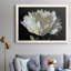 Pivoine blanche - Reproduction d'art sur toile encadrée-1176643706-1176643709