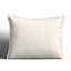 Cody 100% Cotton Envelope Sham-606339819