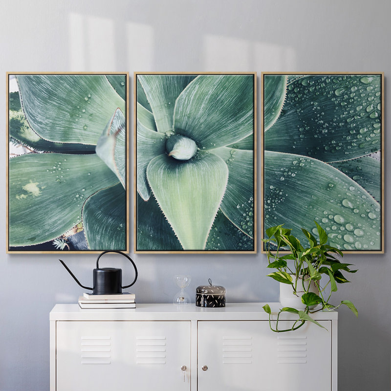 «Green Tropical Succulent», reproduction d'art encadrée sur toile, 3 pièces, H 36 po x l 75 po x P 2 po, Naturel