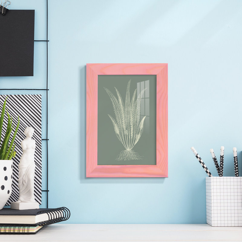 Ferns On Sage IV, reproduction d'art encadrée, H 9 po x l 7 po x P 1 po, Rose