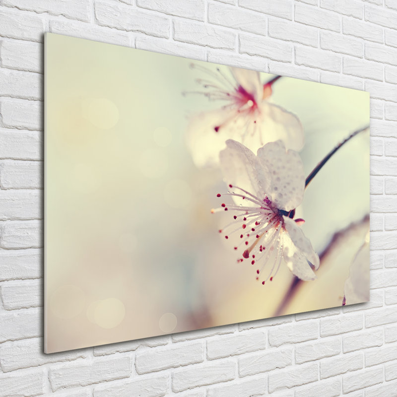 Cherry Blossom - Unframed Art Prints on Glass