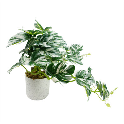 Plastic, Silk Monstera Arrangement in Pot