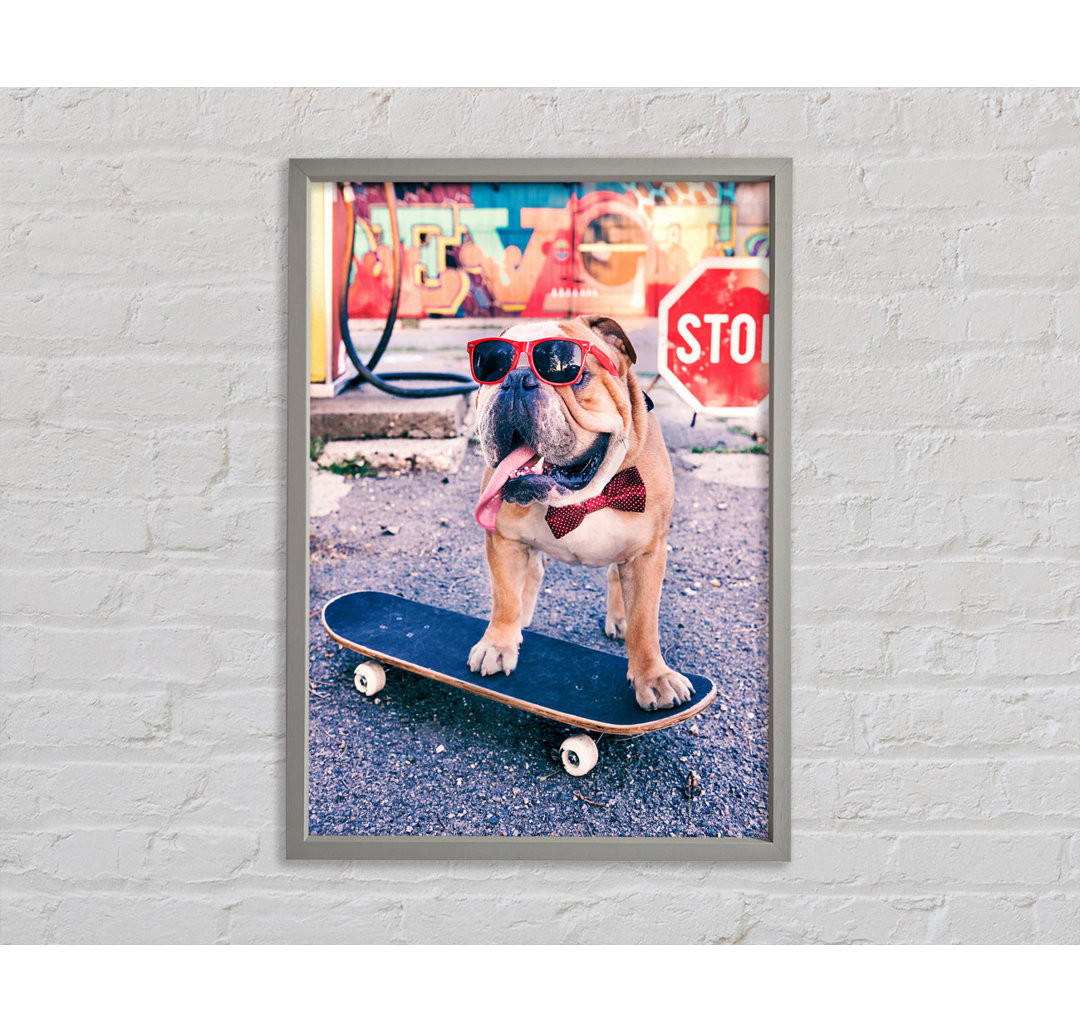 Englische Bulldogge Skateboarding - Einzelner Bilderrahmen Kunstdrucke auf Leinwand