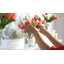 Tucson Tulip Arrangement-1761452370-1761452369
