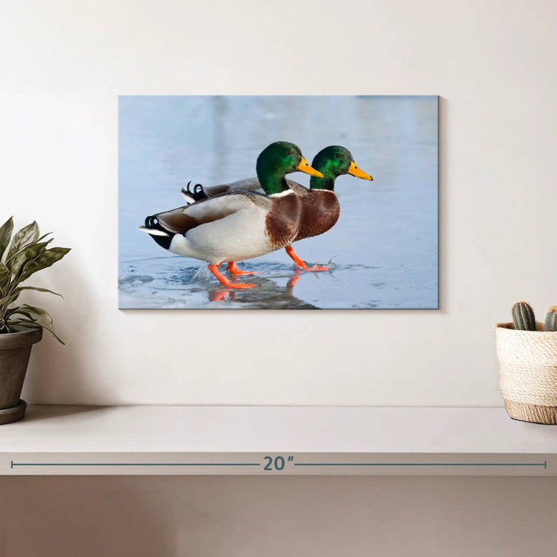 Brampt Mallard Duck Duo, 8" H x 12" W