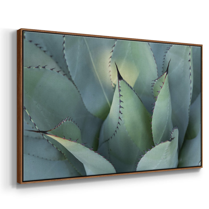 " Blue Agave I ", 17" H x 25" W x 2" D, Walnut