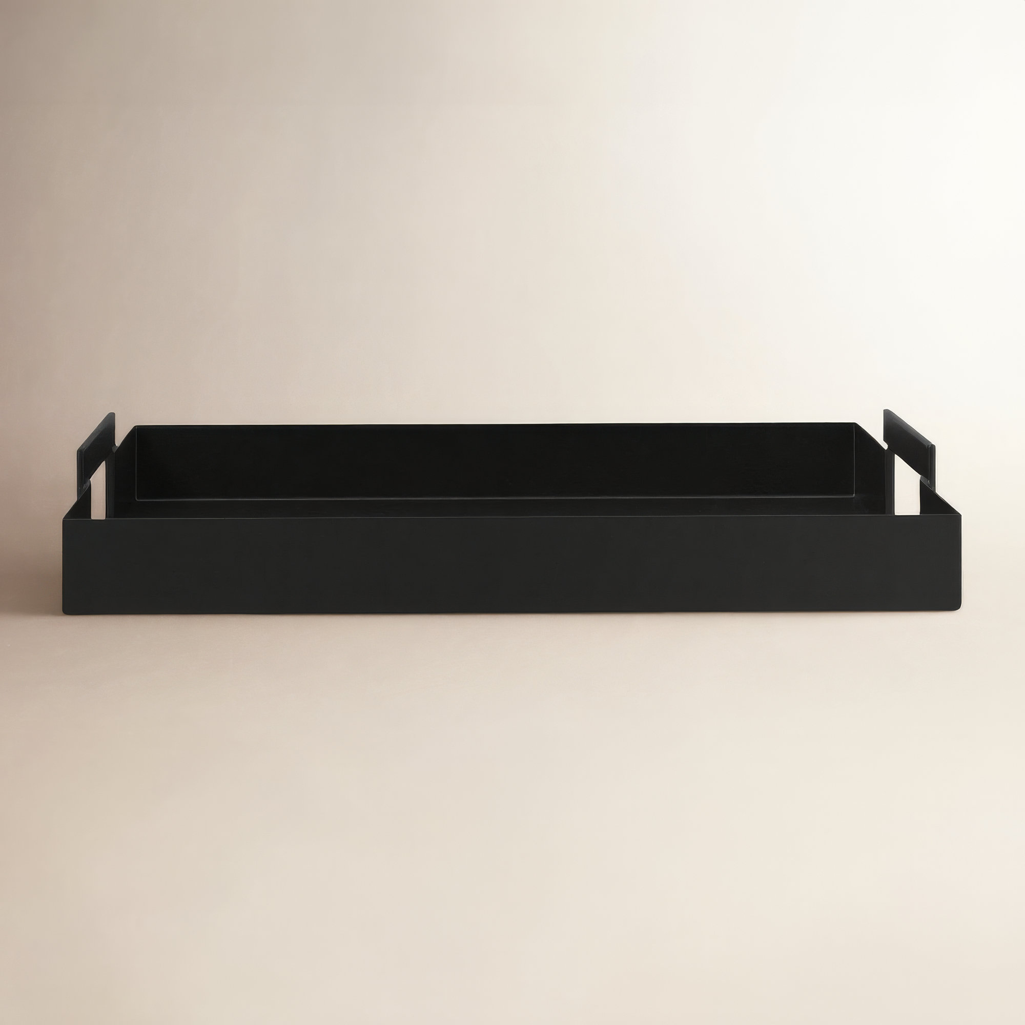 Zenia Metal Tray - Set of 1, Black