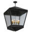 Dayne 10 - Light Chandelier