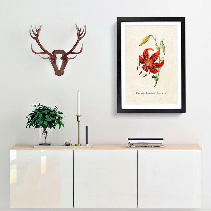 Illustration of a Tiger Lily Flower - Framed Print, 36cm H x 27cm W x 2cm D, Black Framed