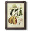 Printed Tuscan Fruits IV - Reproduction encadrée sur toile-749992287