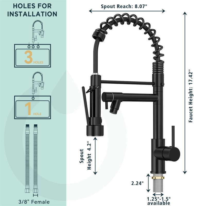 Ivy Bronx Derean Kitchen Faucet