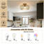 Semi Flush Mount-985019000