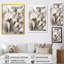 «Cream Desert Cactus - Cactus», art mural encadré-110956216-88531107