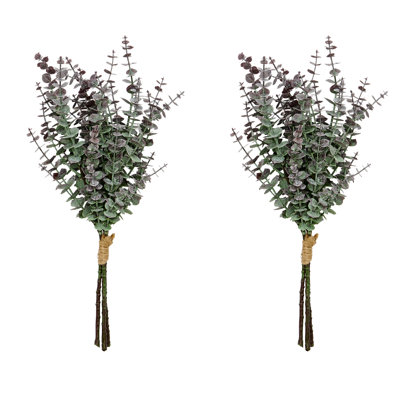 Buisson d'eucalyptus 17 po
