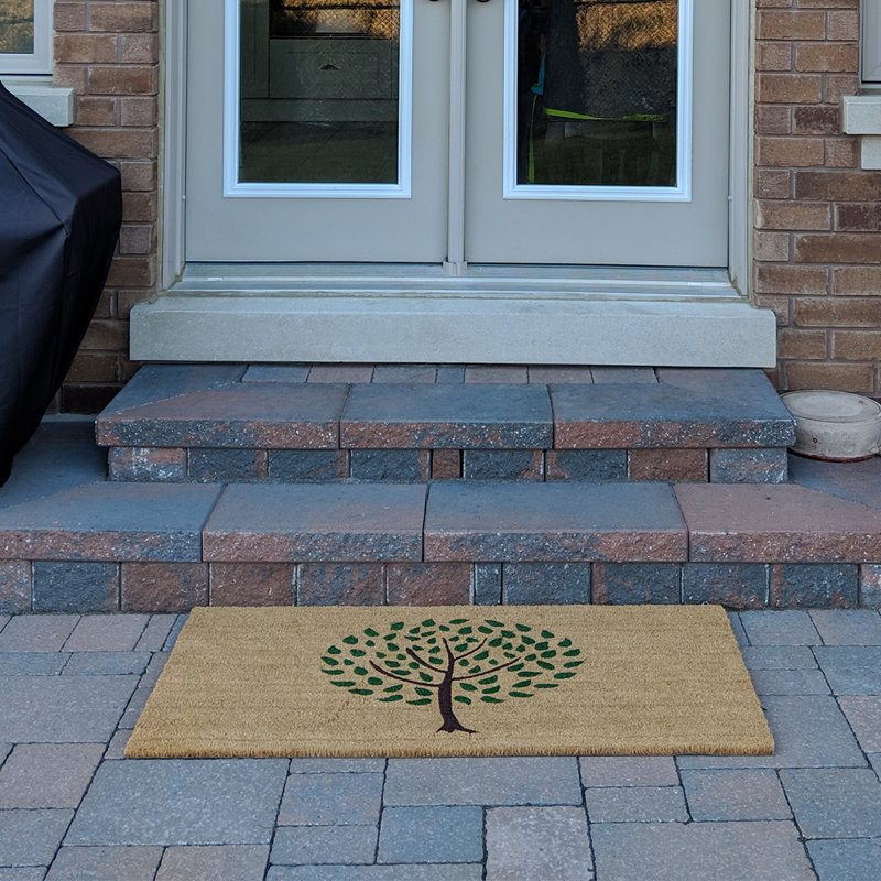 Paillasson antidérapant Germantown, Rectangle 2 pi x 4 pi