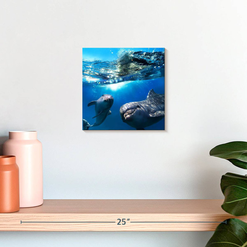 Brampt Playful Dolphins, 10" H x 10" W