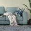 Coussin charmant-99315879-99315882