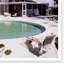 General Electric Wonder House Giclee Print by Tom Leonard