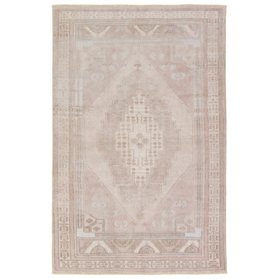Vibe by Bungalow Rose Afshari Medallion Mauve/Light Blue Area Rug
