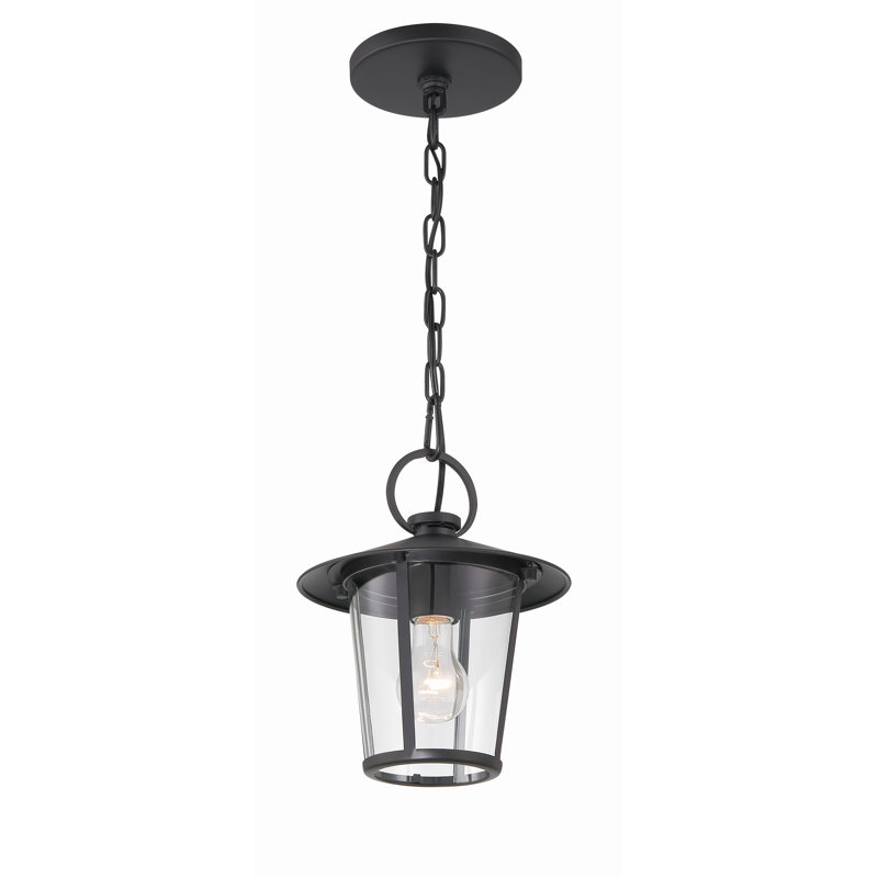 Lanterne suspendue d'extérieur 1 lumière H 11 po Tranesha