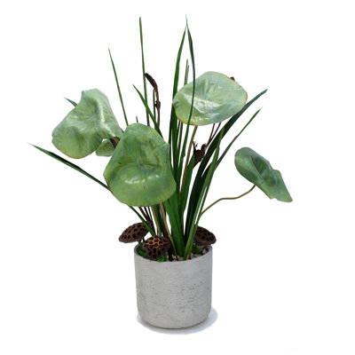 Plante auriculaire artificielle 29 "en pot