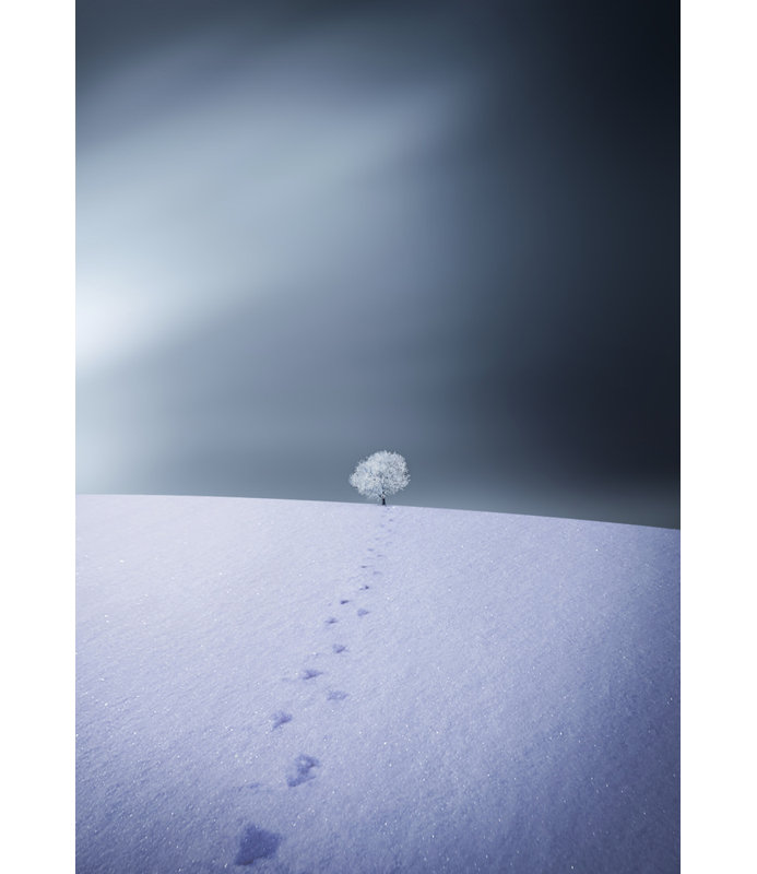 Wrapped Canvas Print, 121.92 cm H x 81.28 cm W